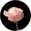 Ramin Fazel profile picture
